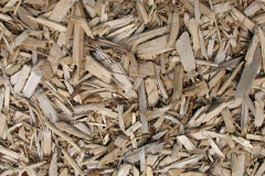 biomass boilers Stoneylane